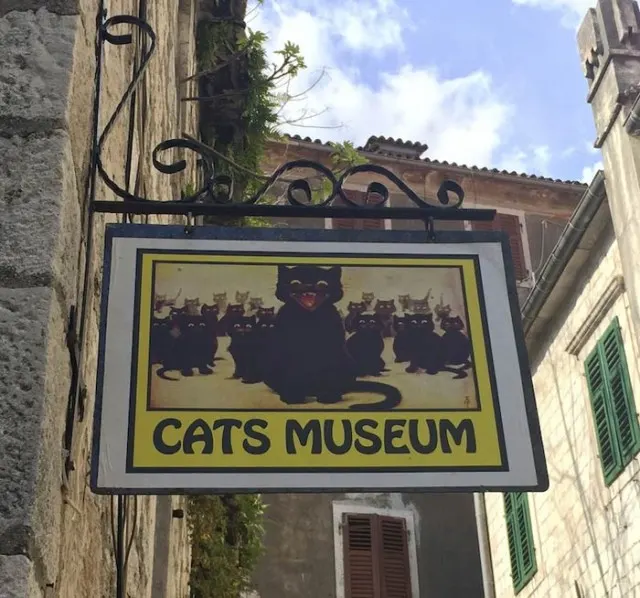 Stari grad Kotor