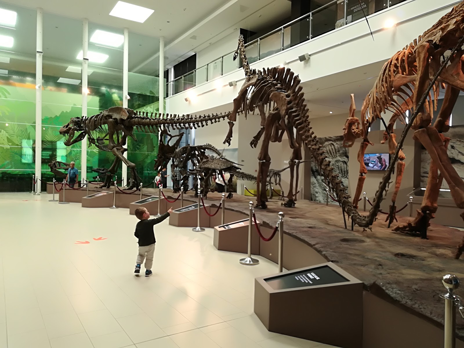dino-park